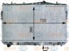 HELLA 8MK 376 762-681 Radiator, engine cooling